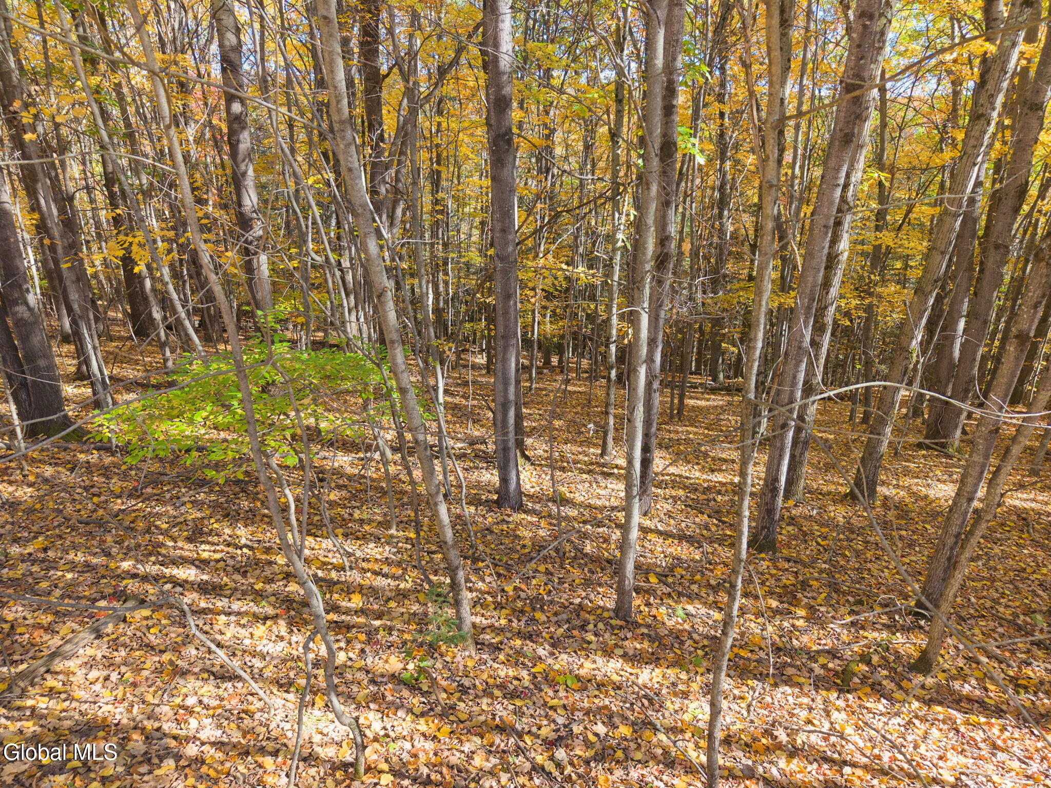 294 Posson Hill Road Middleburgh NY 12122