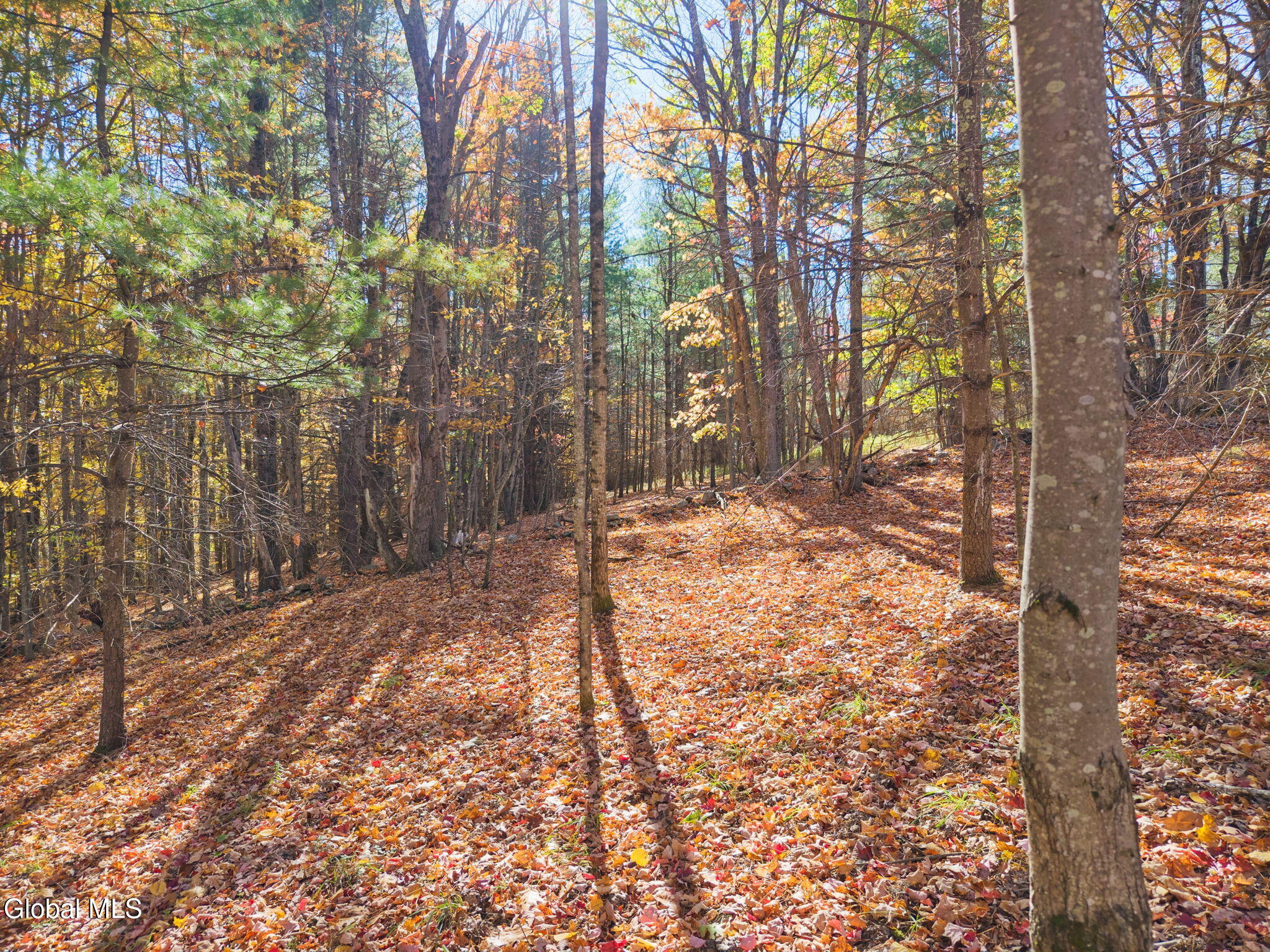 294 Posson Hill Road Middleburgh NY 12122