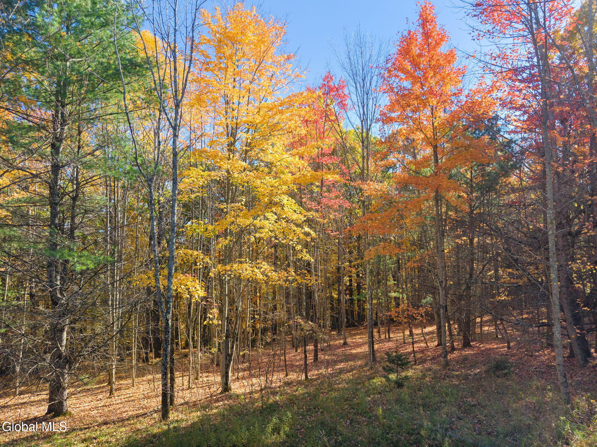 294 Posson Hill Road Middleburgh NY 12122