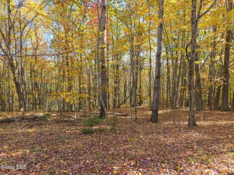 294 Posson Hill Road Middleburgh NY 12122