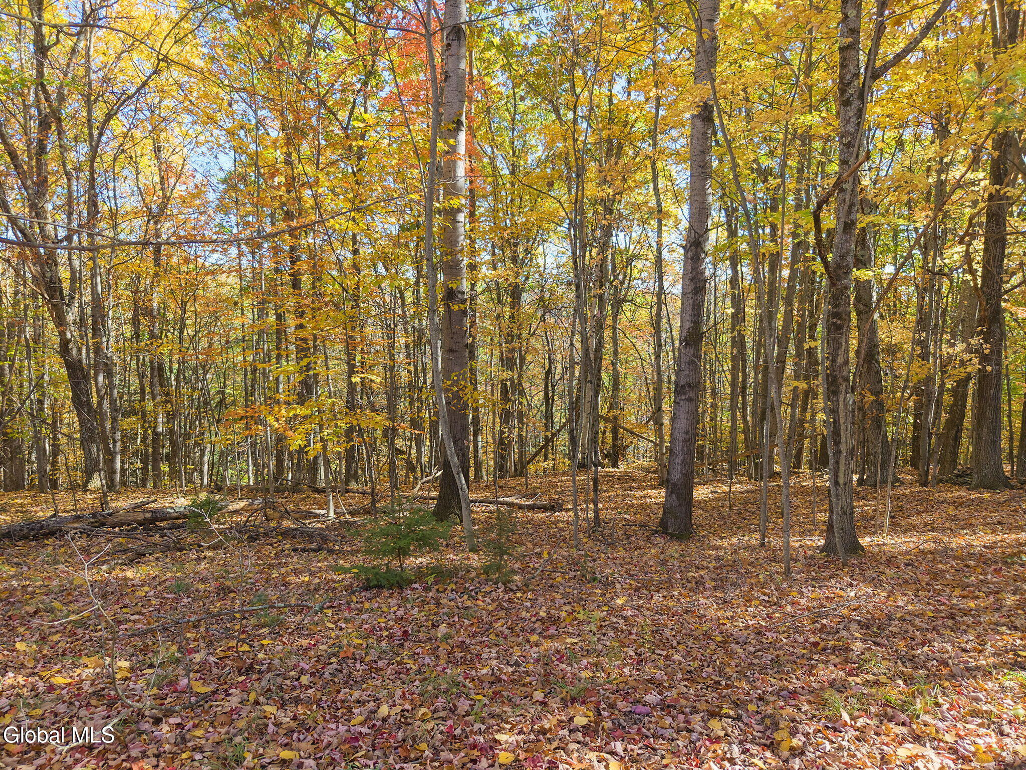 294 Posson Hill Road Middleburgh NY 12122