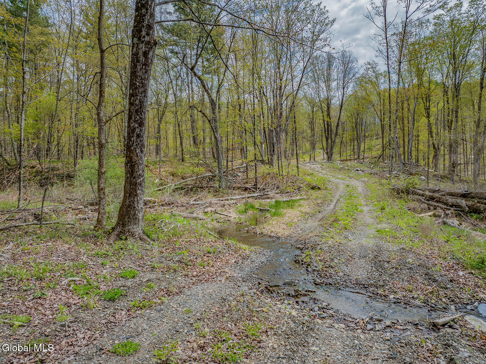 97 Sky Parlor Way Salem NY 12865