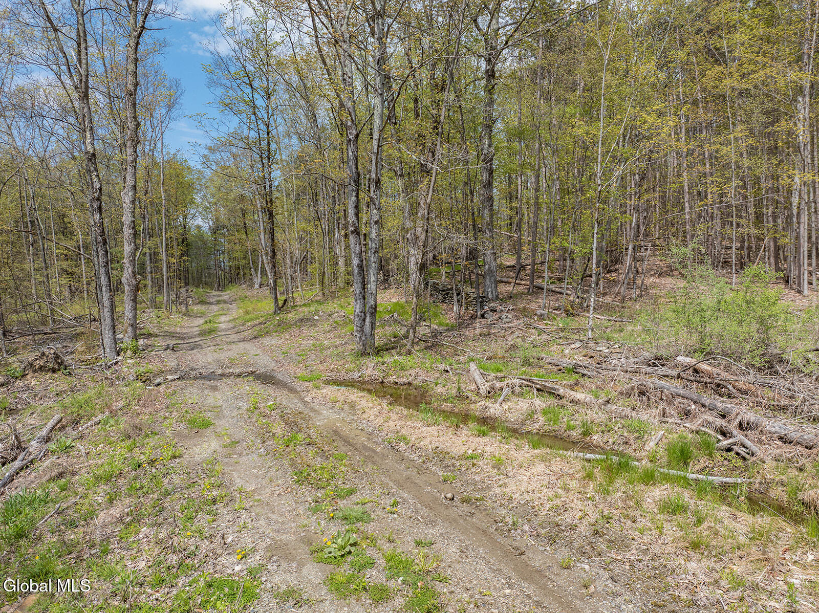97 Sky Parlor Way Salem NY 12865