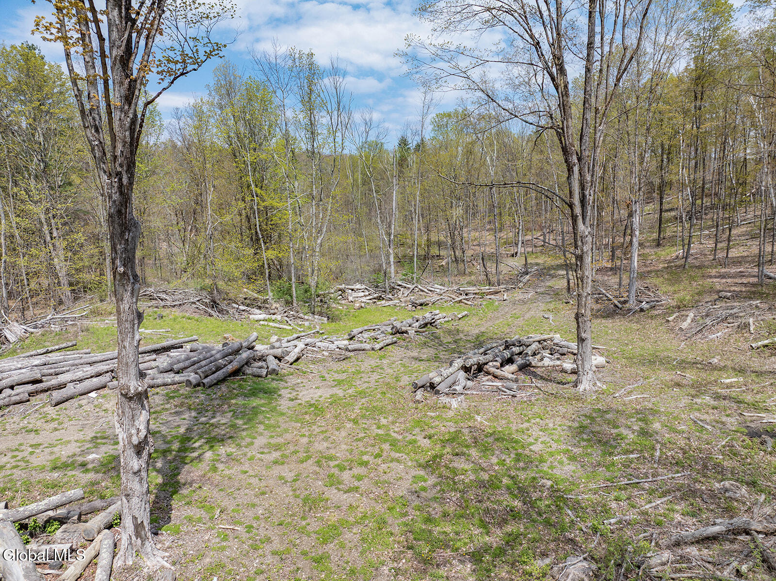 97 Sky Parlor Way Salem NY 12865