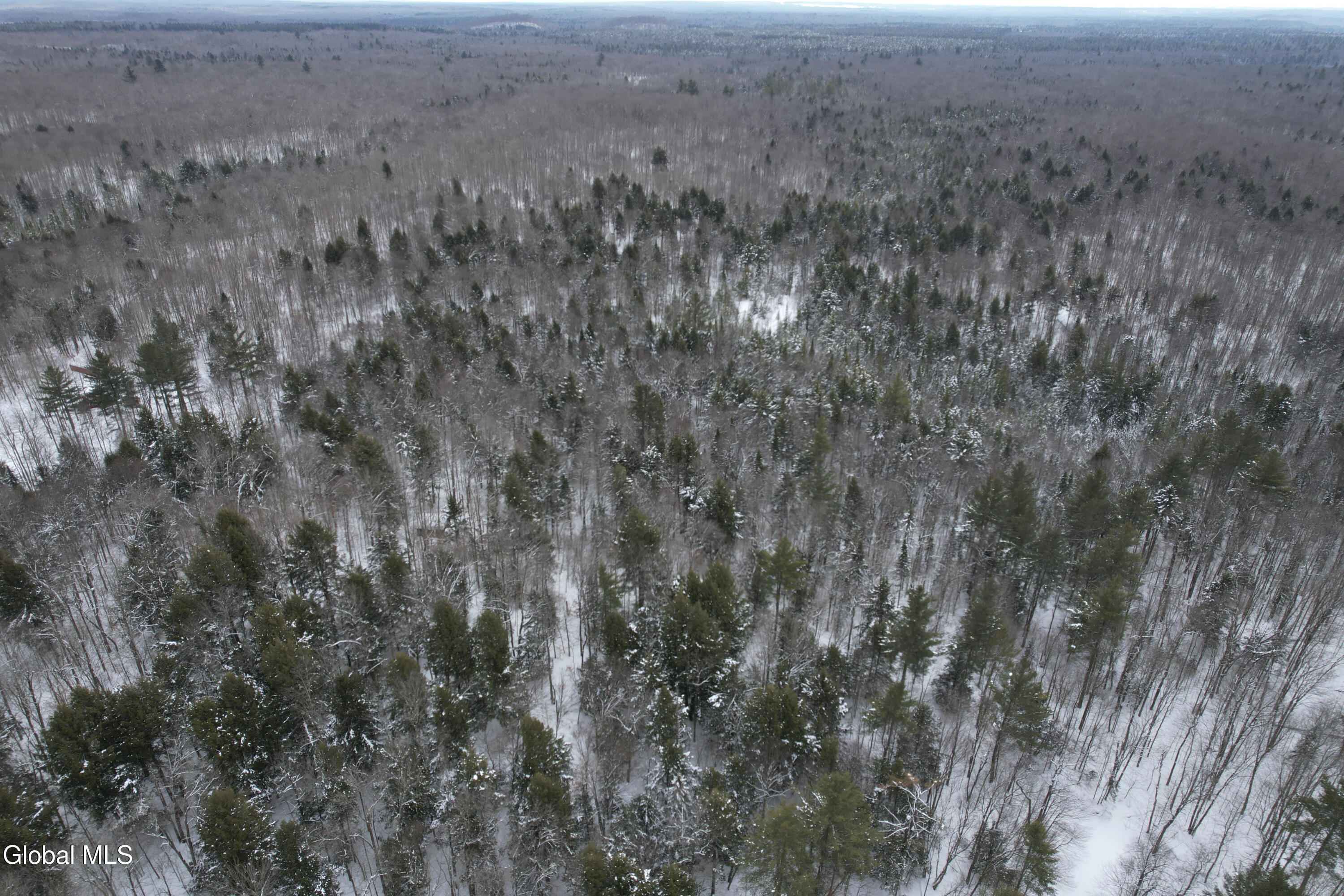 3164 Lone Pine Extension Forestport NY 13338