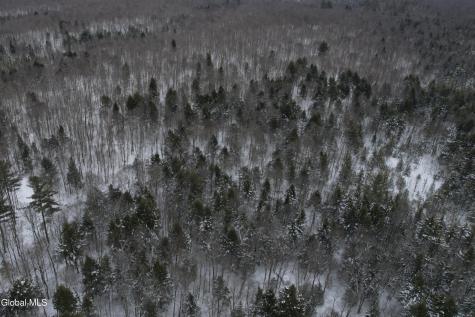 3164 Lone Pine Extension Forestport NY 13338