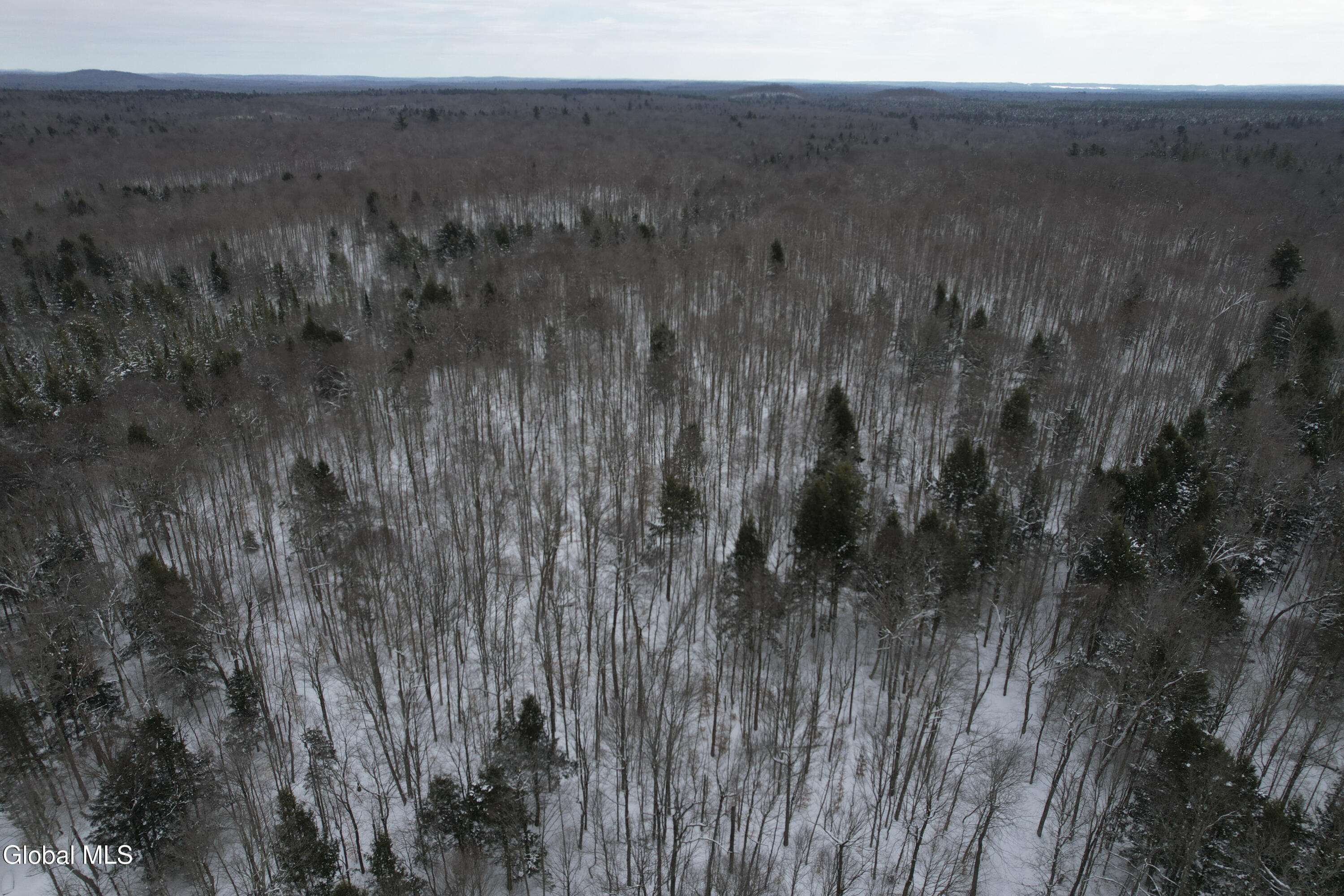 3164 Lone Pine Extension Forestport NY 13338
