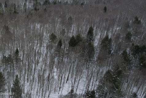 3164 Lone Pine Extension Forestport NY 13338