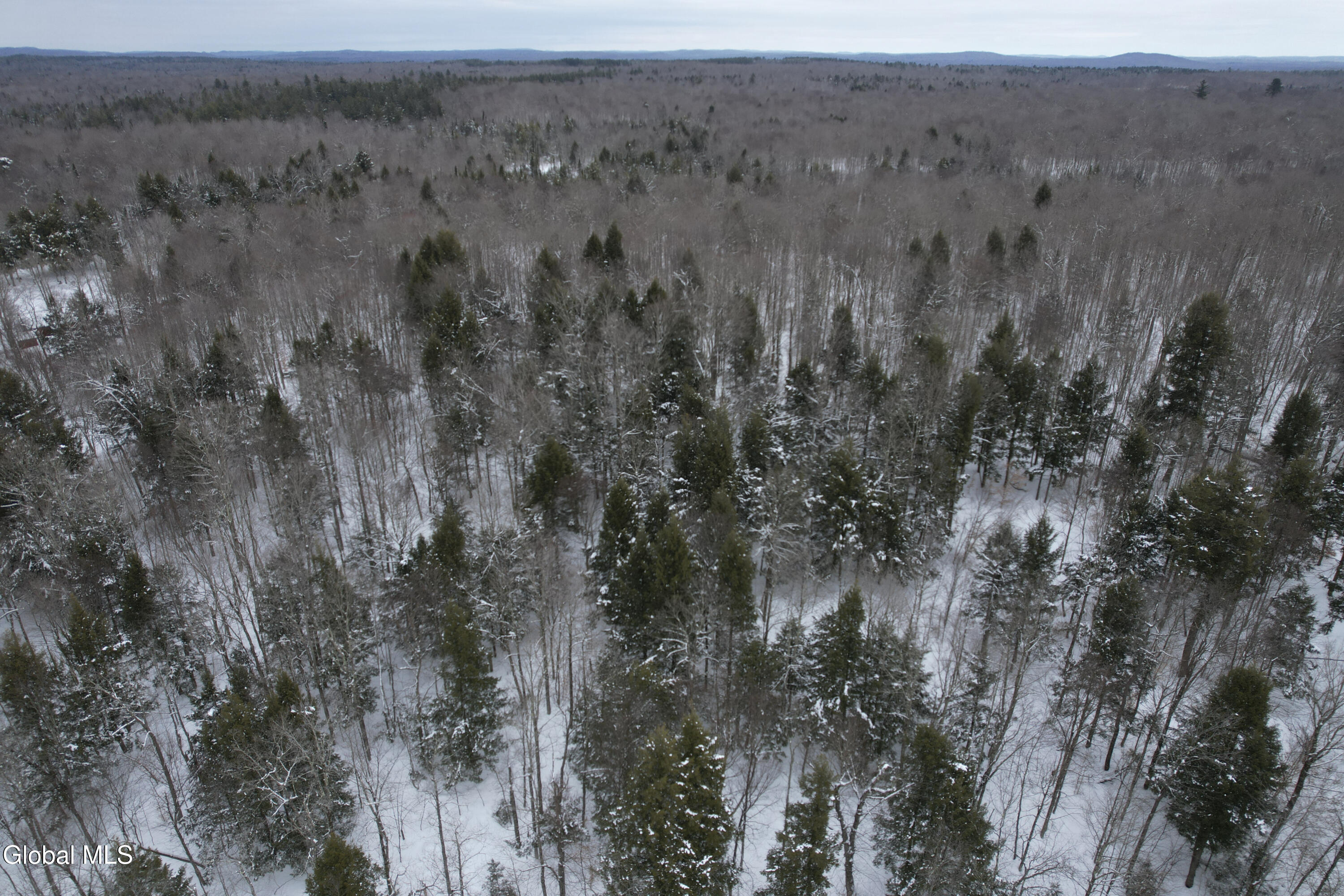 3164 Lone Pine Extension Forestport NY 13338