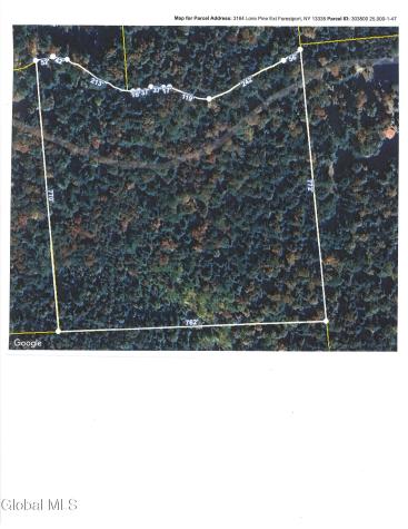 3164 Lone Pine Extension Forestport NY 13338