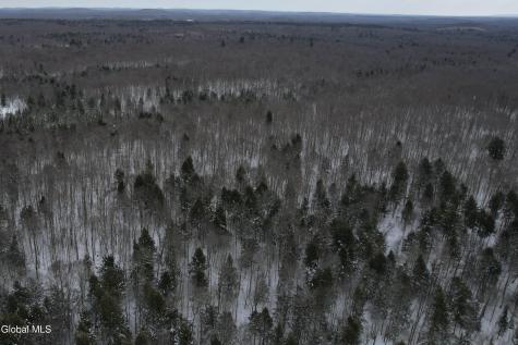 3164 Lone Pine Extension Forestport NY 13338