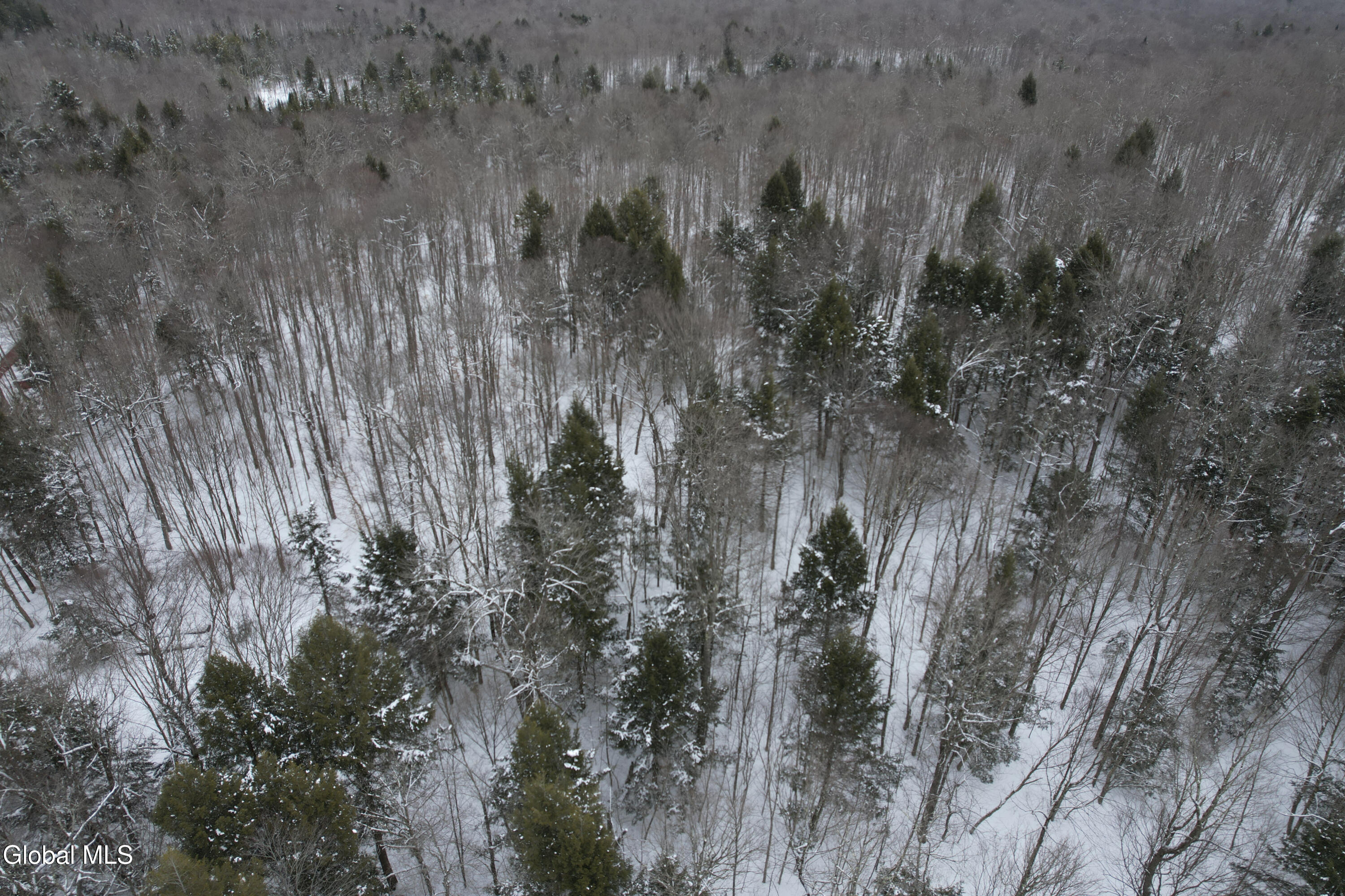 3164 Lone Pine Extension Forestport NY 13338