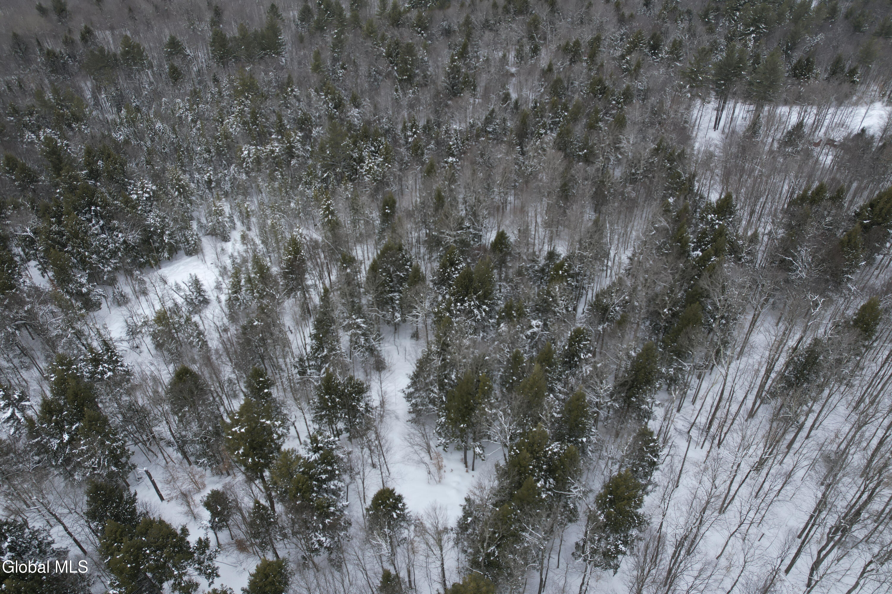 3164 Lone Pine Extension Forestport NY 13338