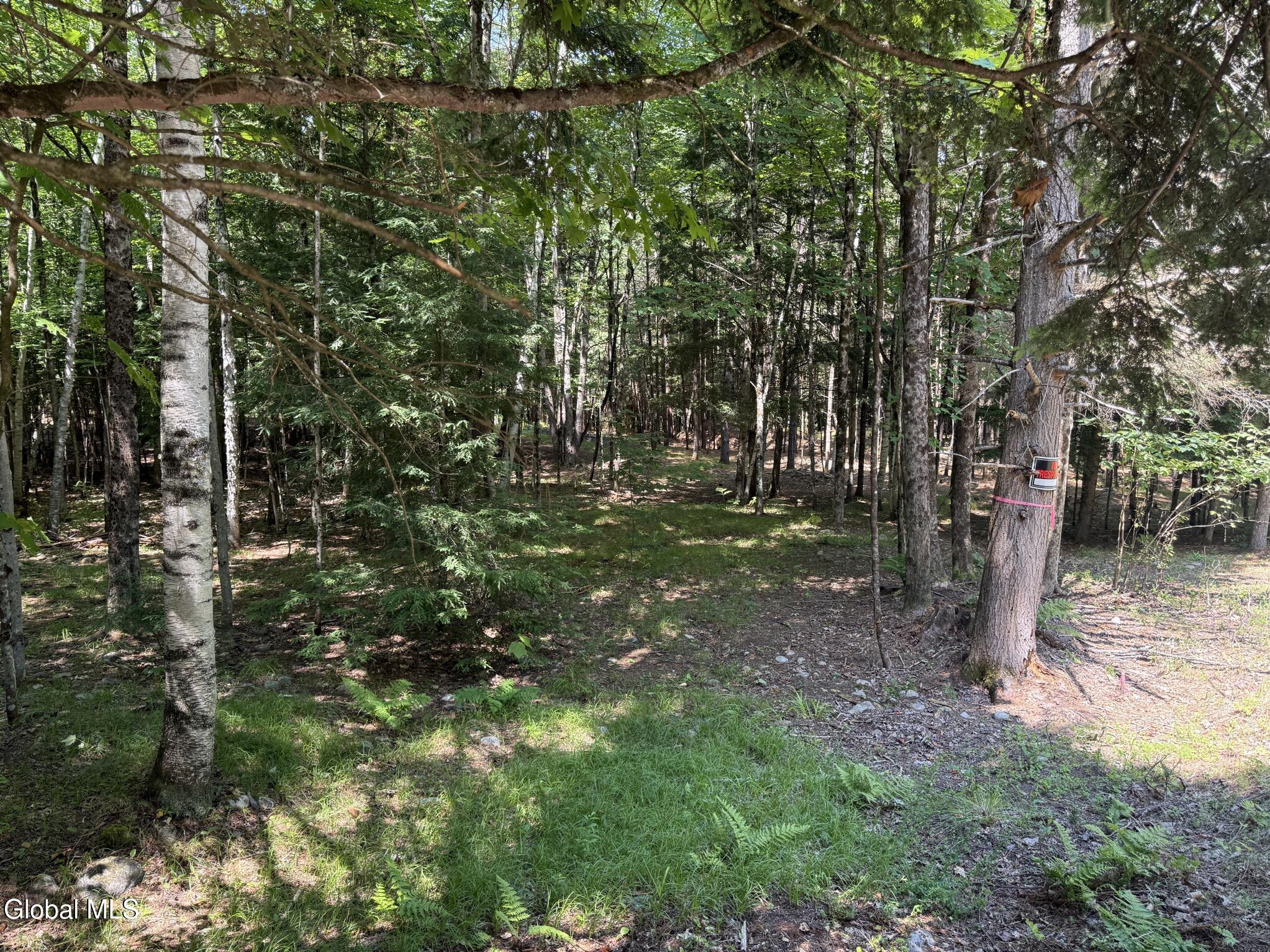 65 Hidden Valley Road Lake Luzerne NY 12846