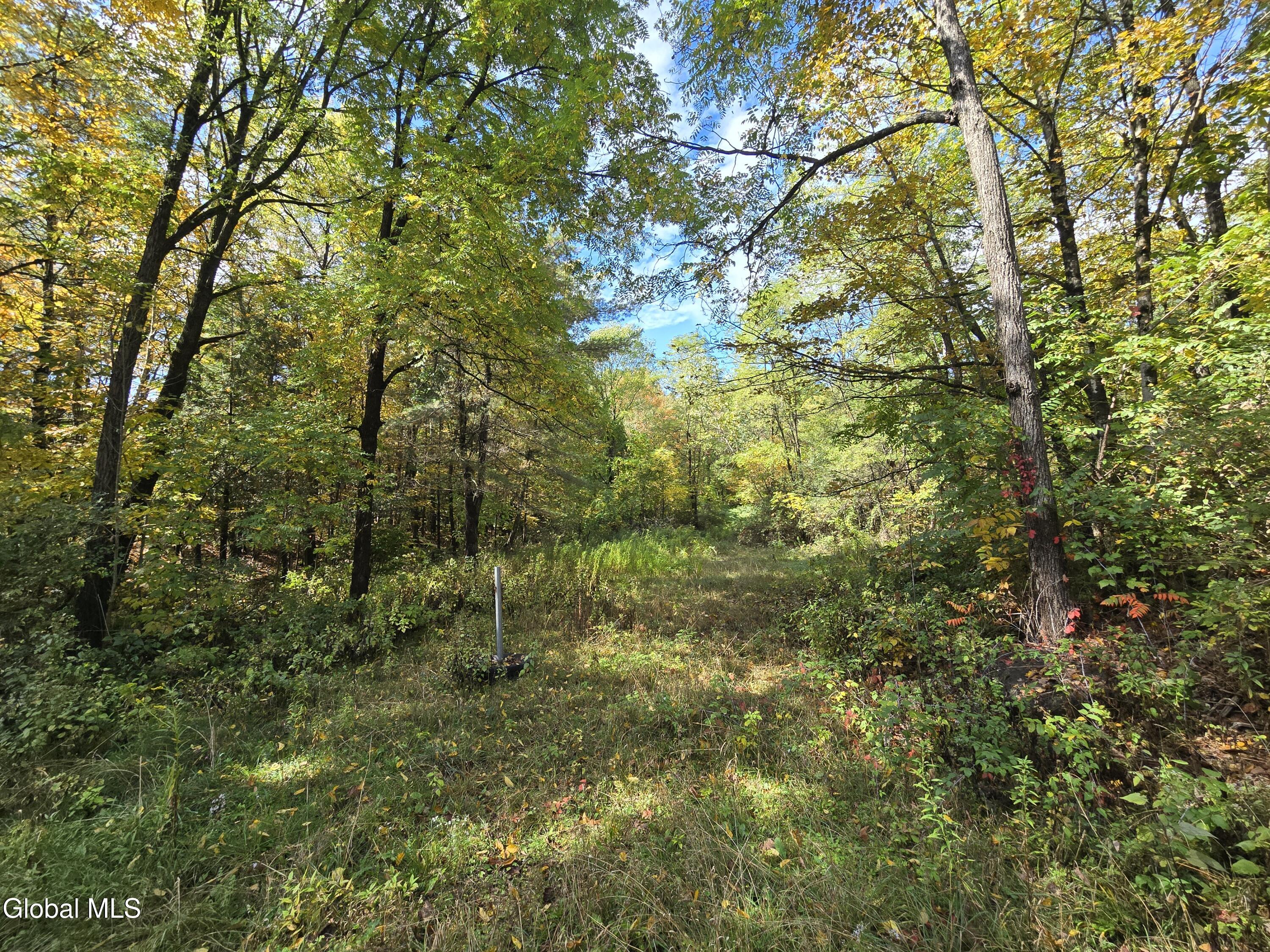 355 Grange Road Greenfield Center NY 12833