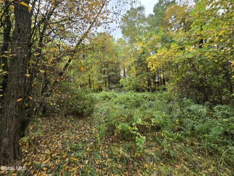 355 Grange Road Greenfield Center NY 12833