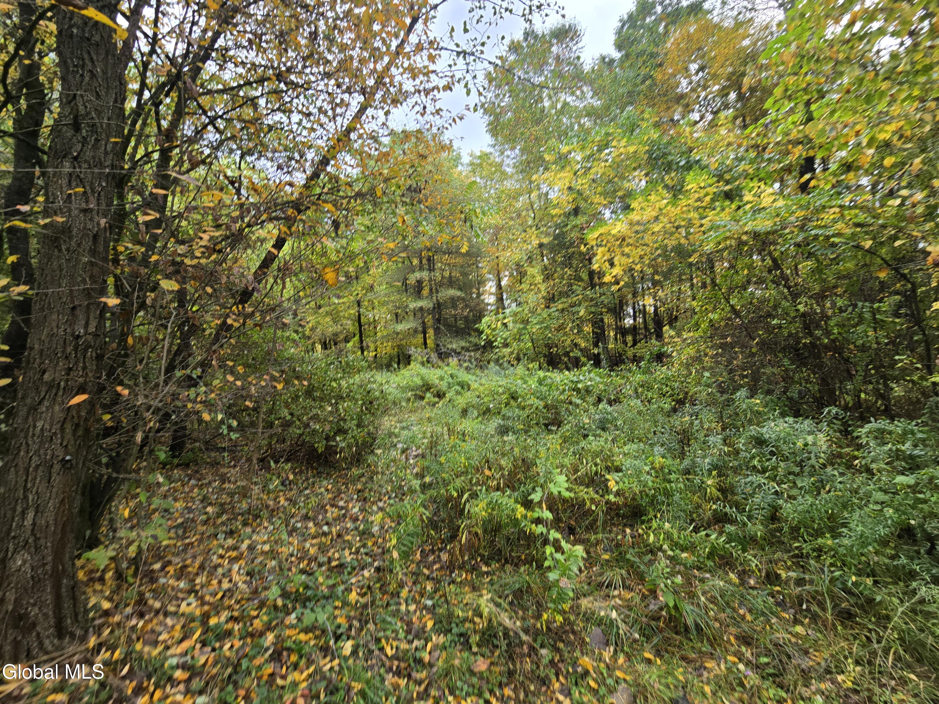 355 Grange Road Greenfield Center NY 12833