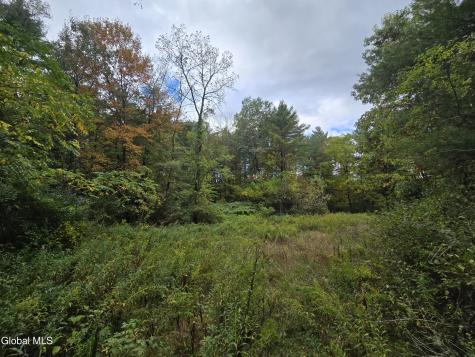 355 Grange Road Greenfield Center NY 12833