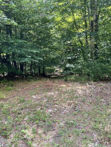 386 Beaver Pond Road Adirondack NY 12808