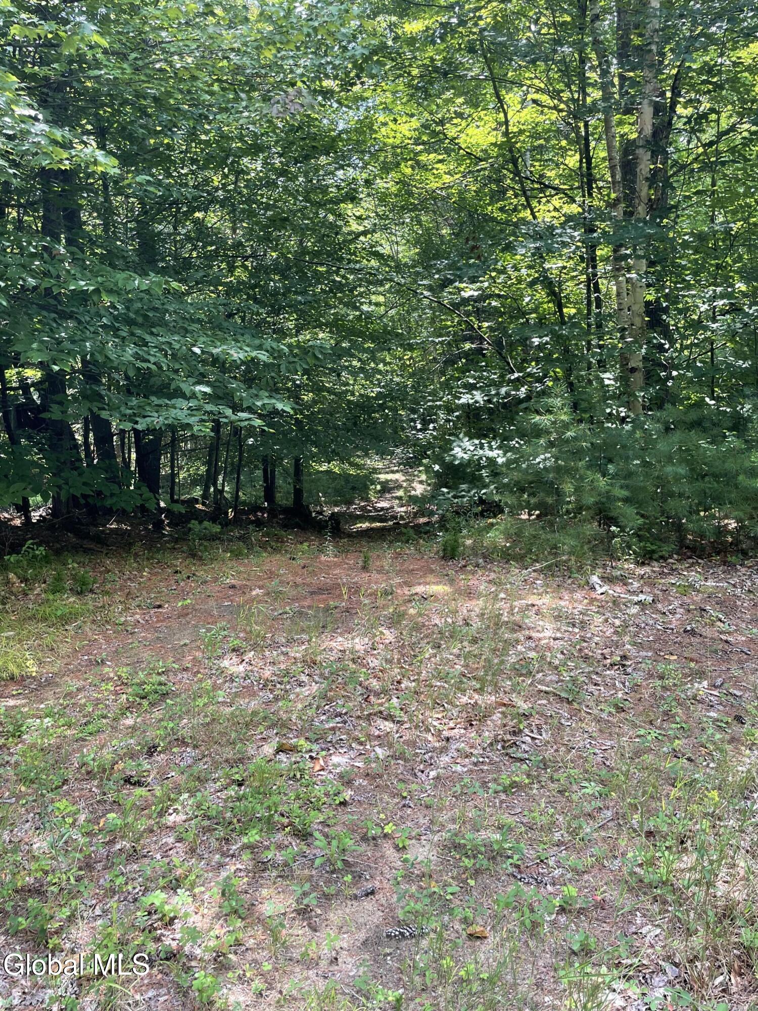 386 Beaver Pond Road Adirondack NY 12808
