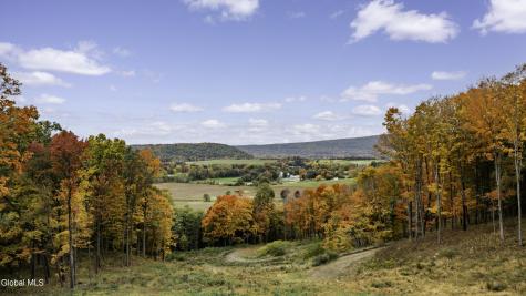 0 County Road 83 Pine Plains NY 12567