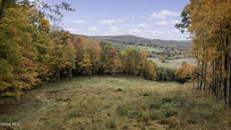 0 County Road 83 Pine Plains NY 12567