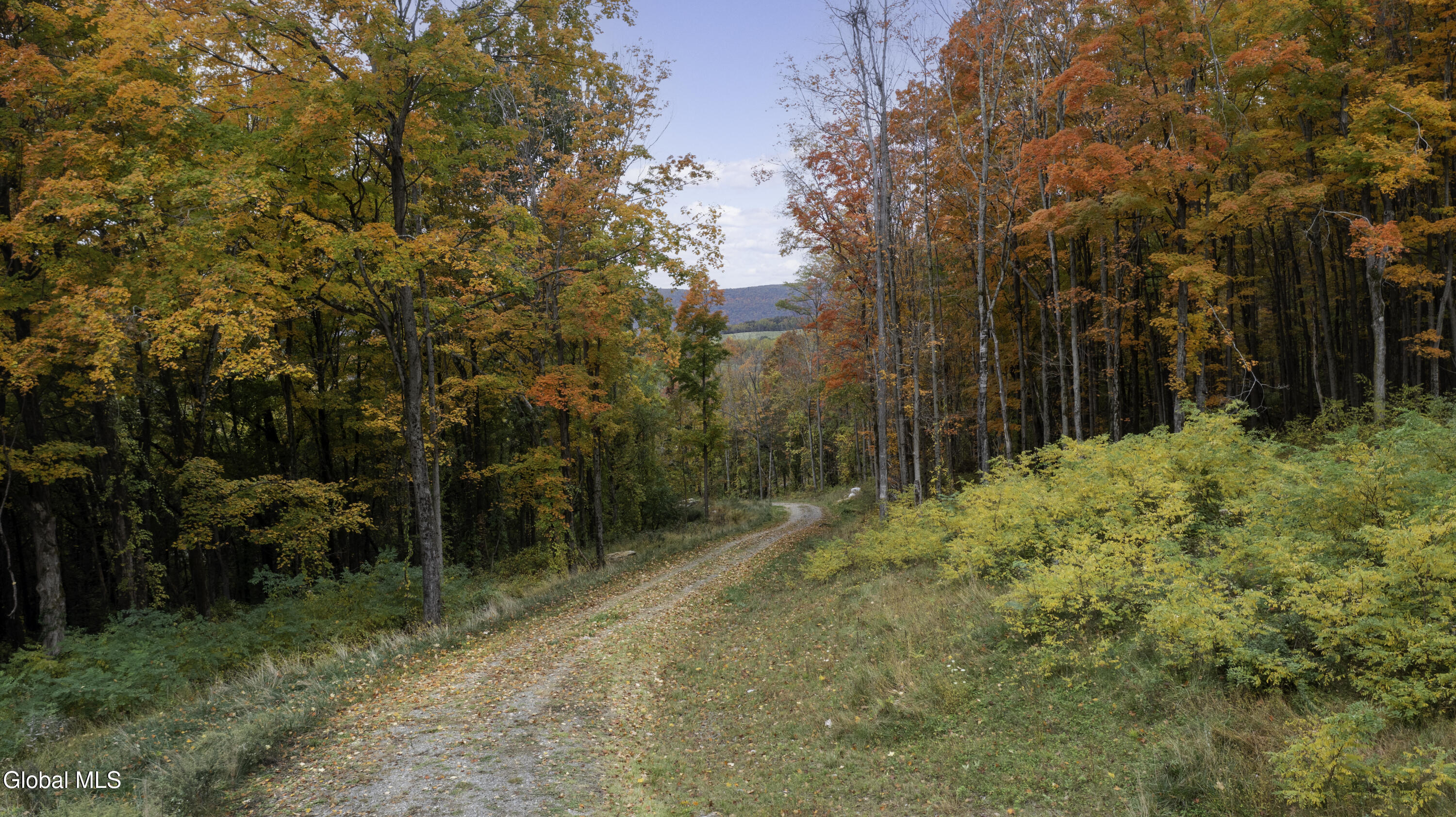 0 Route 83 Pine Plains NY 12567