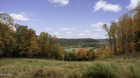 0 County Road 83 Pine Plains NY 12567