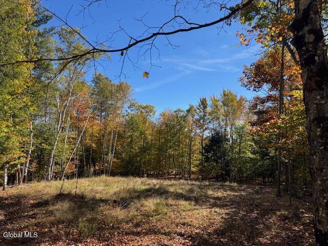 30 Mohican Trail North Creek NY 12811