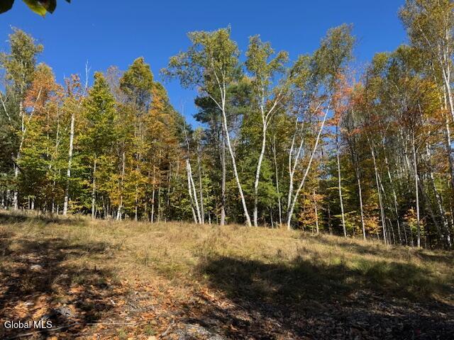 30 Mohican Trail North Creek NY 12811