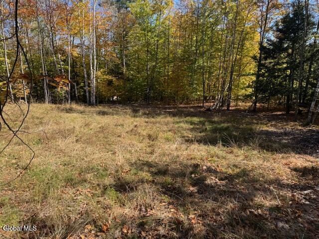 30 Mohican Trail North Creek NY 12811