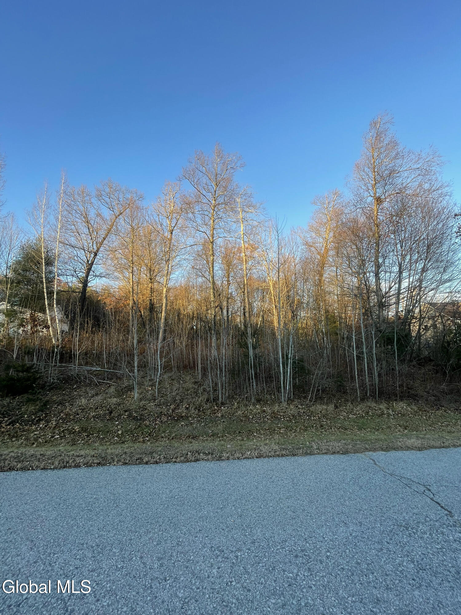 L10 Landon Drive Gloversville NY 12078