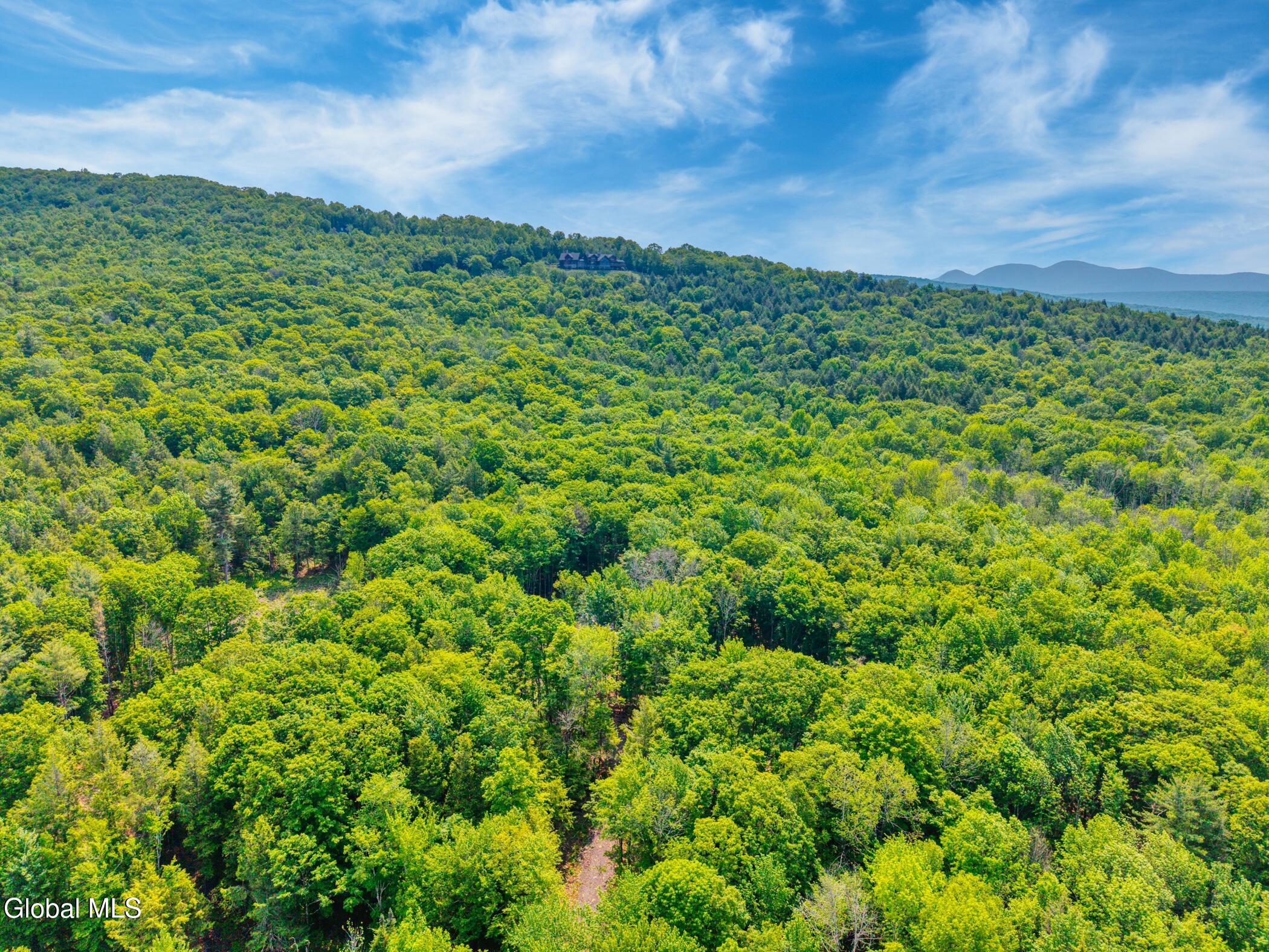 Tbd Boulder Brook Road Windham NY 12496