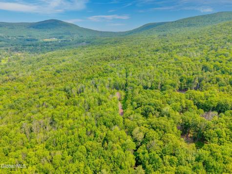 Tbd Boulder Brook Road Windham NY 12496