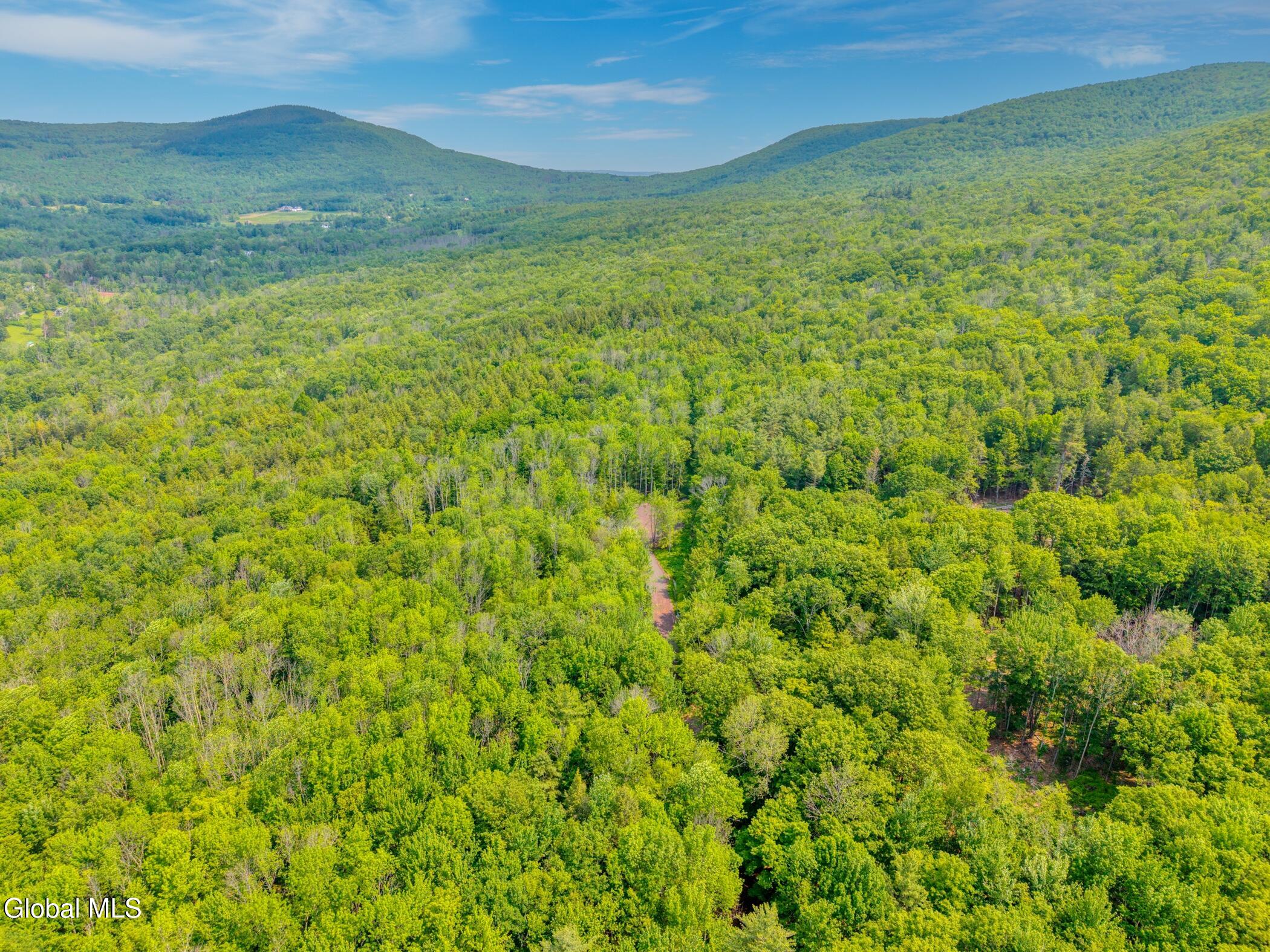 Tbd Boulder Brook Road Windham NY 12496