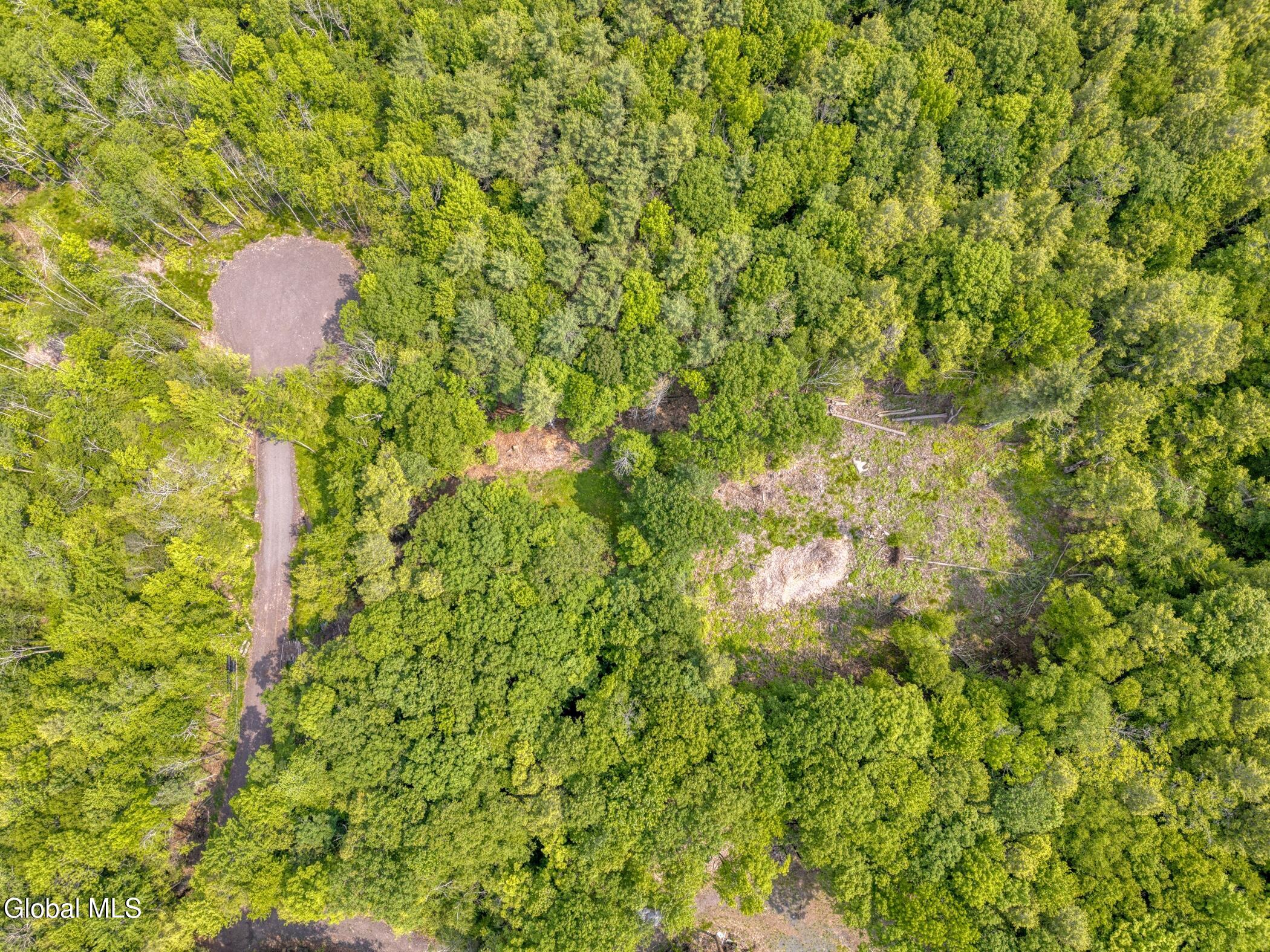 Tbd Boulder Brook Road Windham NY 12496