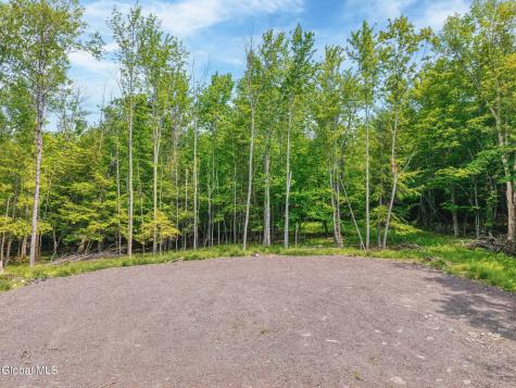 Tbd Boulder Brook Road Windham NY 12496