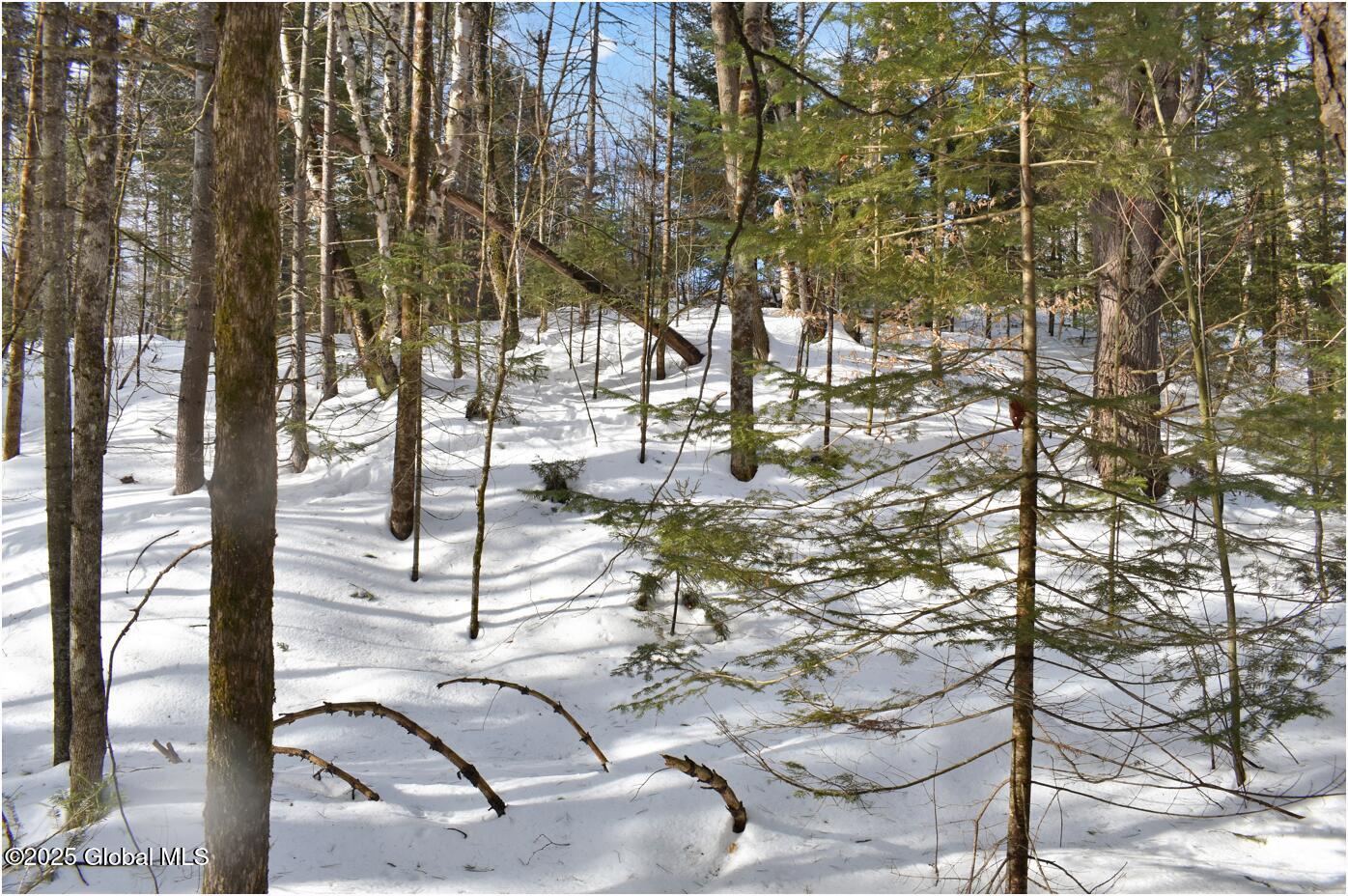 L96 Highview Lane Wevertown NY 12886