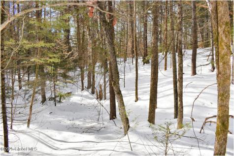 L96 Highview Lane Wevertown NY 12886