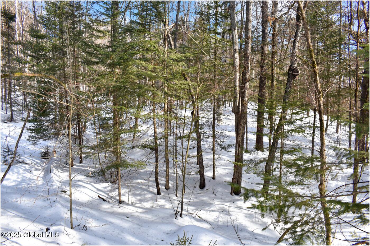 L96 Highview Lane Wevertown NY 12886
