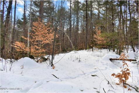 L96 Highview Lane Wevertown NY 12886