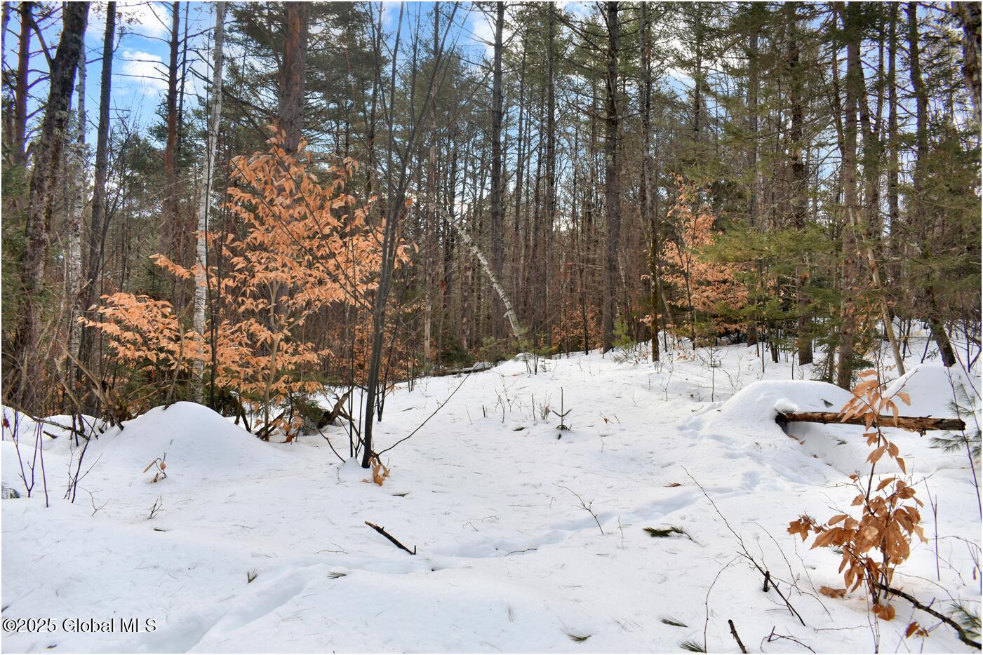 L96 Highview Lane Wevertown NY 12886