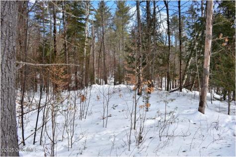 L96 Highview Lane Wevertown NY 12886