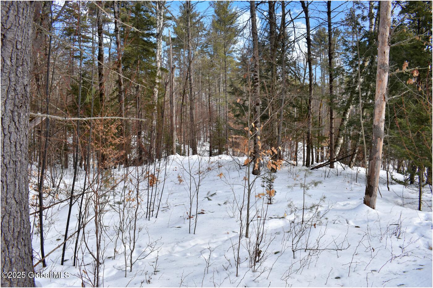 L96 Highview Lane Wevertown NY 12886