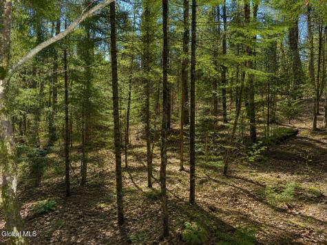 L96 Highview Lane Wevertown NY 12886