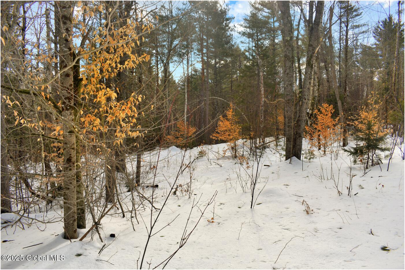L96 Highview Lane Wevertown NY 12886