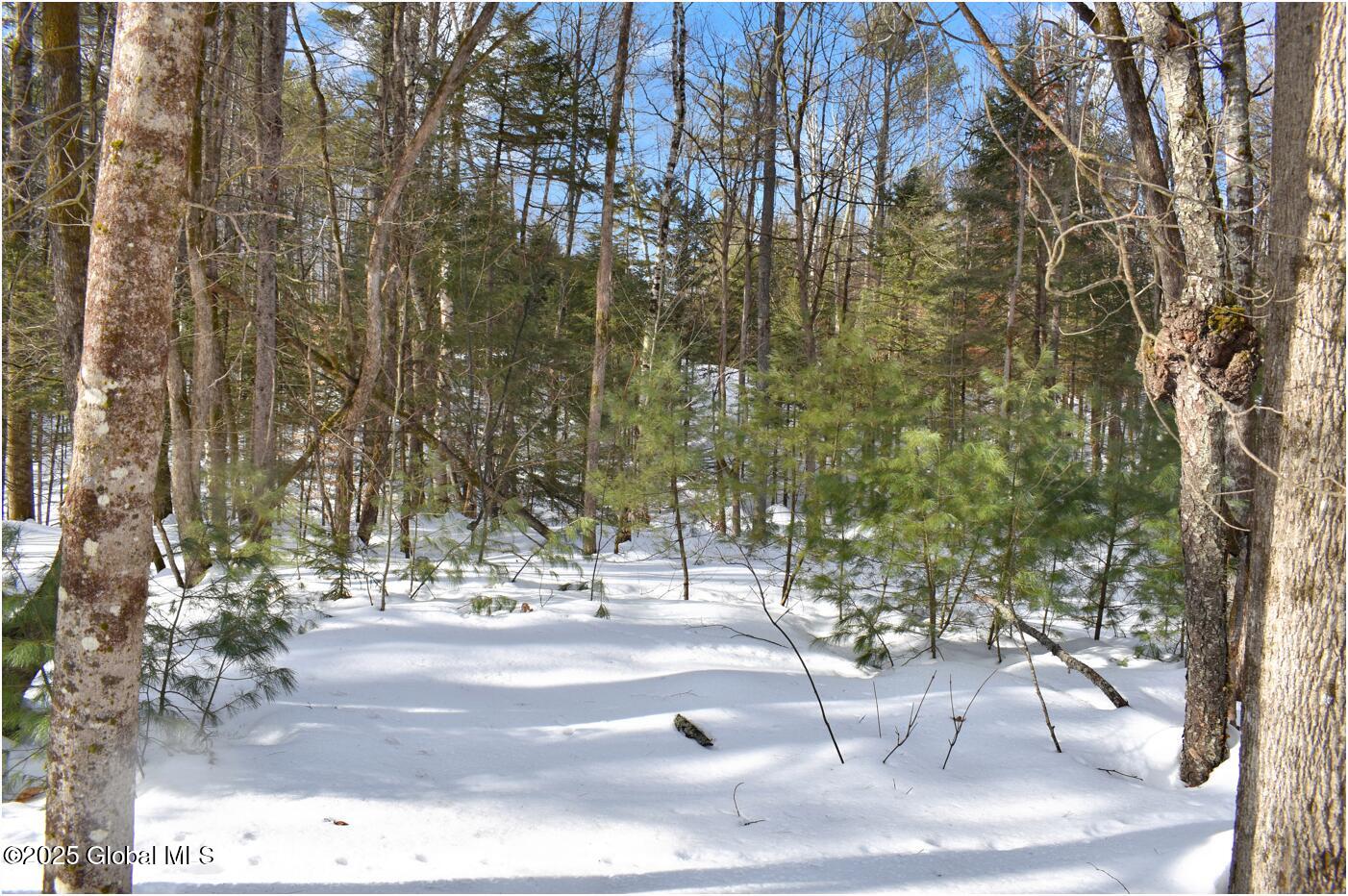 L96 Highview Lane Wevertown NY 12886