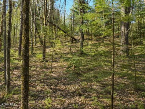 L96 Highview Lane Wevertown NY 12886