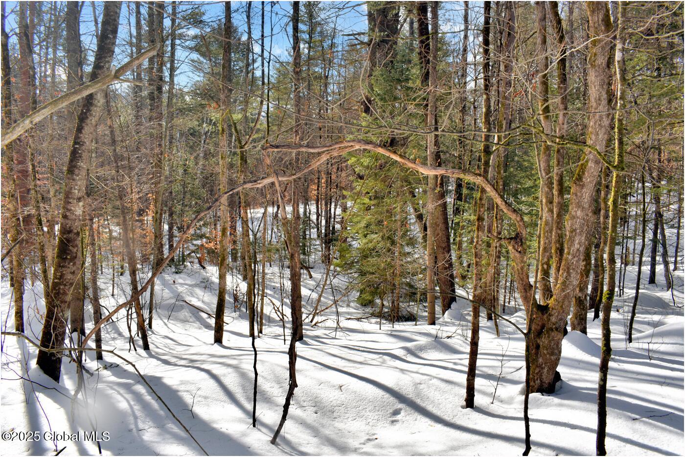 L96 Highview Lane Wevertown NY 12886
