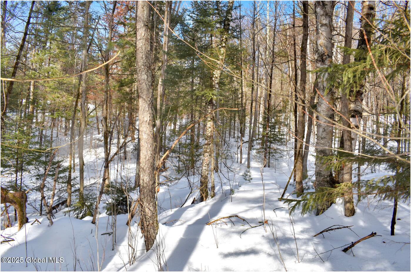 L96 Highview Lane Wevertown NY 12886